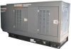 Газовый генератор Generac SG40/PG36 в кожухе